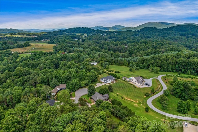 112 Sunny Morning Ct, Hendersonville, NC 28792 - photo 36