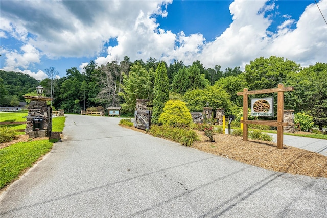 112 Sunny Morning Ct, Hendersonville, NC 28792 - photo 43
