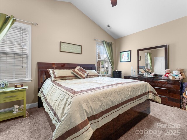 144 Haw River Rd, Fletcher, NC 28732 - carpeted bedroom featuring lofted ceiling and ceiling fan