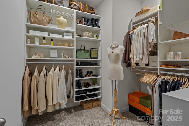 9021 Myrna Dr, Gastonia, NC 28056 - walk in closet featuring carpet