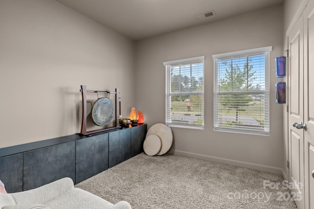 9021 Myrna Dr, Gastonia, NC 28056 - miscellaneous room featuring carpet flooring