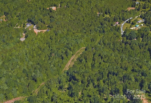 TBD Roy Dula Place, Lenoir, NC 28645 - photo 4