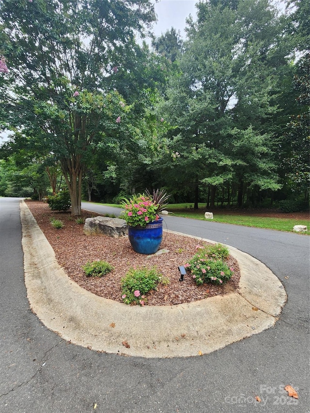 1620 Enon Ct Unit 9, Rock Hill, SC 29732 - photo 2