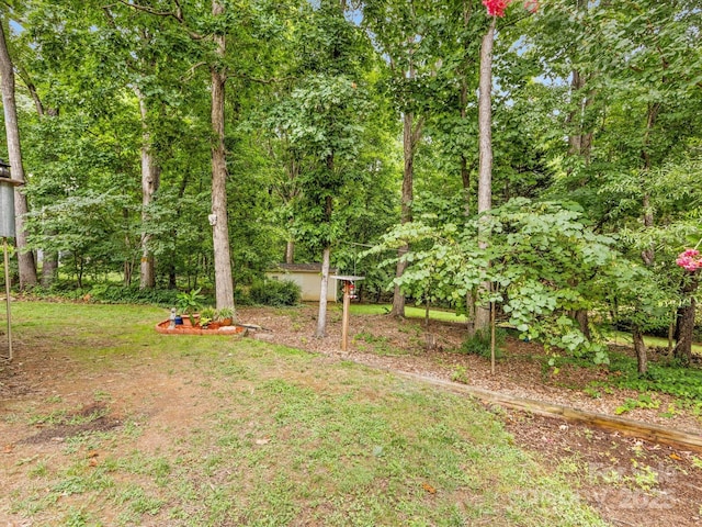 15139 Wiltshire Manor Dr, Charlotte, NC 28278 - view of yard