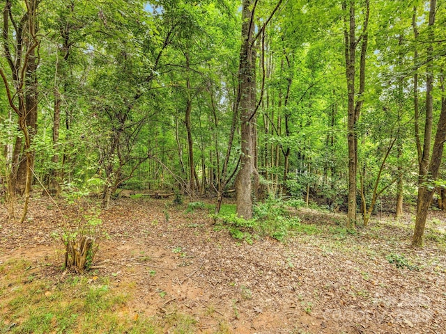 15139 Wiltshire Manor Dr, Charlotte, NC 28278 - view of tree filled area