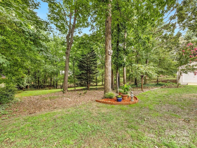 15139 Wiltshire Manor Dr, Charlotte, NC 28278 - view of green lawn
