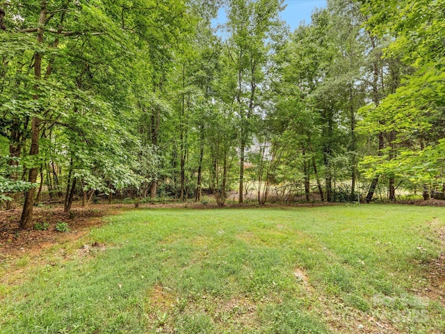 15139 Wiltshire Manor Dr, Charlotte, NC 28278 - view of grassy yard with a forest view