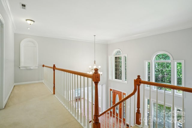 8020 Garnkirk Dr, Huntersville, NC 28078 - photo 19