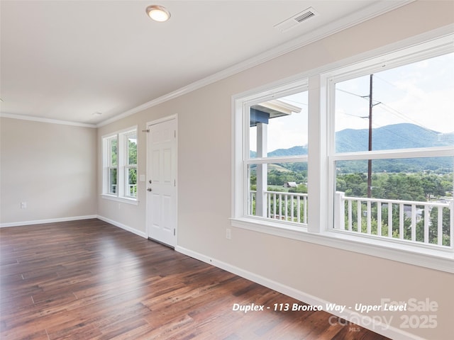 113 Bronco Way, Waynesville, NC 28785 - entrance foyer with ornamental molding, dark wood-style flooring, and a mountain view