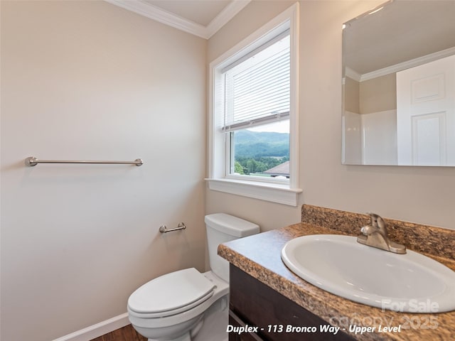 113 Bronco Way, Waynesville, NC 28785 - bathroom with vanity and ornamental molding