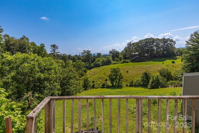 93 Eller Ford Rd, Weaverville, NC 28787 - photo 19