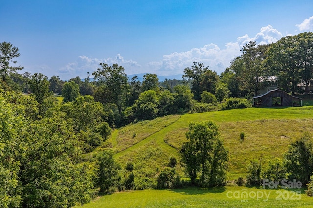 93 Eller Ford Rd, Weaverville, NC 28787 - photo 20