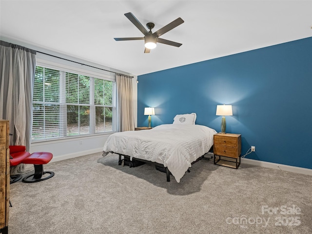 257 Fennel Dun Cir, Biltmore Lake, NC 28715 - photo 21