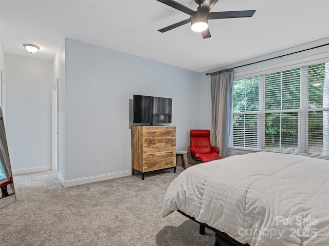 257 Fennel Dun Cir, Biltmore Lake, NC 28715 - photo 22
