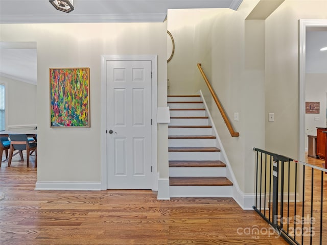 257 Fennel Dun Cir, Biltmore Lake, NC 28715 - photo 26