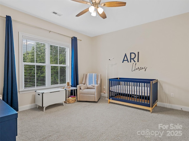 257 Fennel Dun Cir, Biltmore Lake, NC 28715 - photo 29