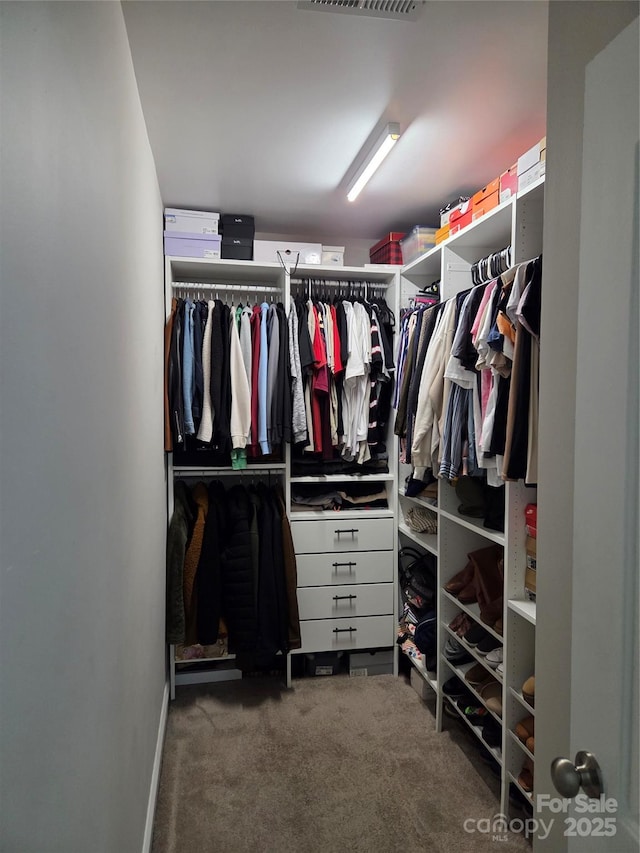 1300 Bethpage Rd, Kannapolis, NC 28081 - walk in closet featuring carpet flooring