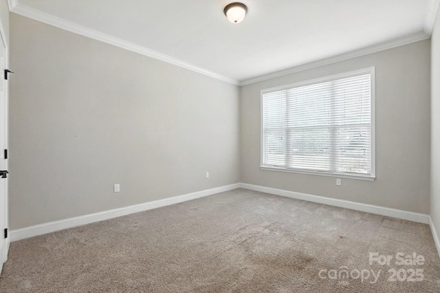 1409 Saint Paul Church Rd, Clover, SC 29710 - photo 28