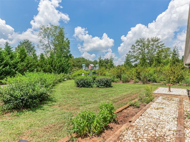 259 Ive Bright Dr, Forest City, NC 28043 - photo 27