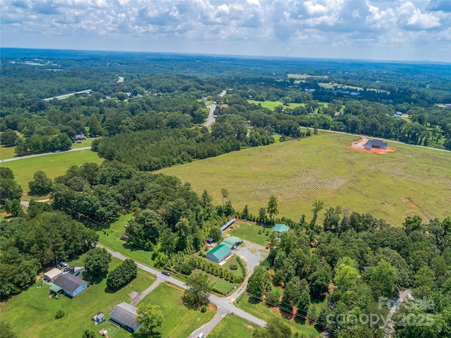 259 Ive Bright Dr, Forest City, NC 28043 - photo 28