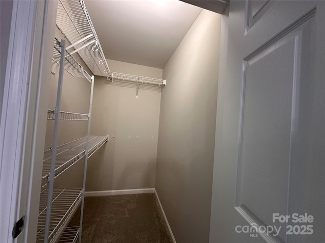 5236 Hilltop Rd, Jamestown, NC 27282 - walk in closet with carpet floors
