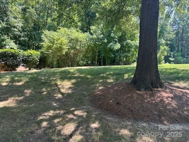 13117 Hamilton Place Dr, Charlotte, NC 28273 - photo 1