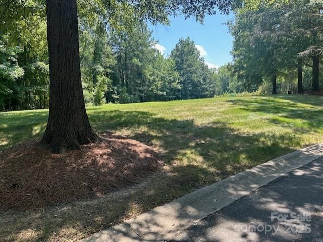 13117 Hamilton Place Dr, Charlotte, NC 28273 - photo 2
