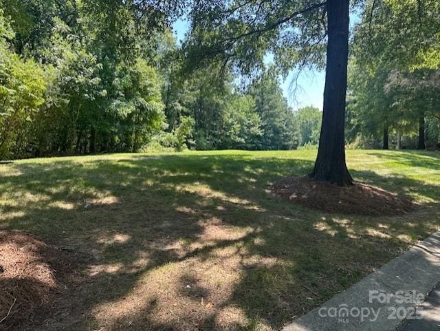13117 Hamilton Place Dr, Charlotte, NC 28273 - photo 3