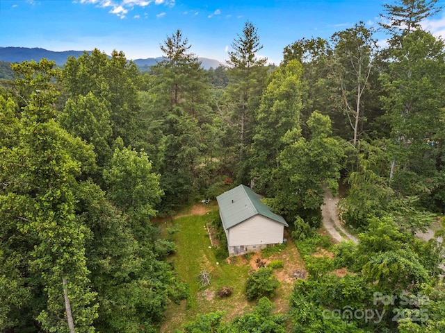17 Mcgee Hill Rd, Fairview, NC 28730 - photo 19
