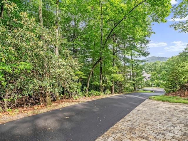 52 Dividing Ridge Trl, Arden, NC 28704 - photo 1