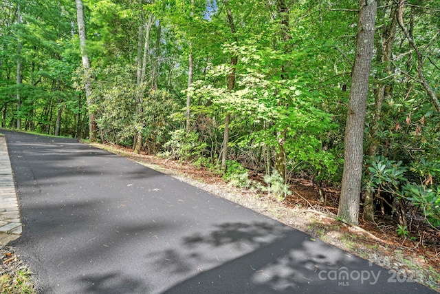 52 Dividing Ridge Trl, Arden, NC 28704 - photo 2