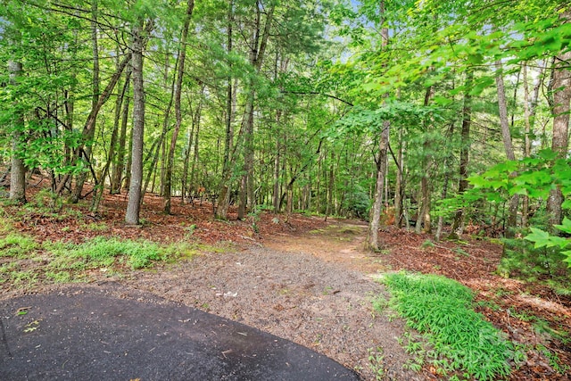 52 Dividing Ridge Trl, Arden, NC 28704 - photo 3