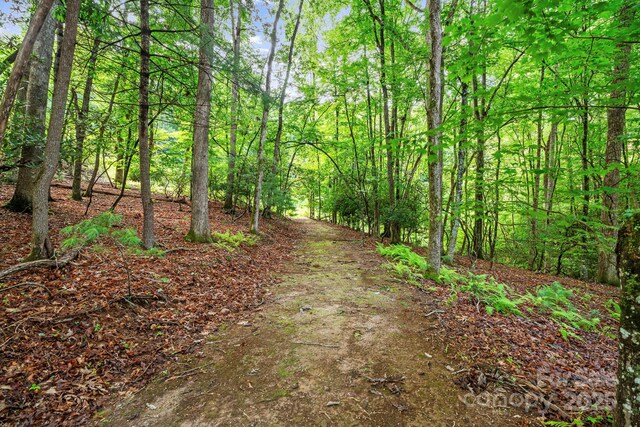 52 Dividing Ridge Trl, Arden, NC 28704 - photo 4