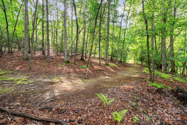 52 Dividing Ridge Trl, Arden, NC 28704 - photo 5