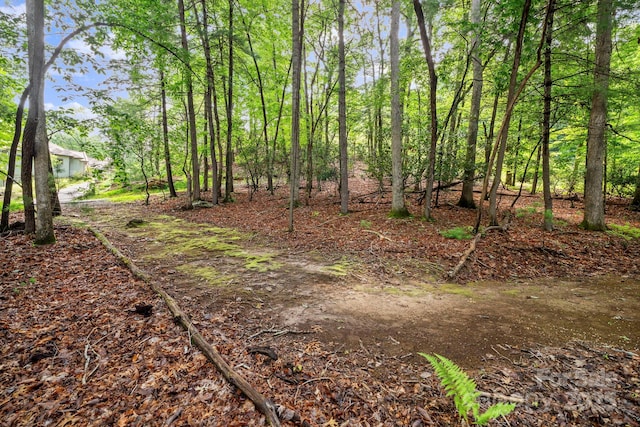 52 Dividing Ridge Trl, Arden, NC 28704 - photo 6