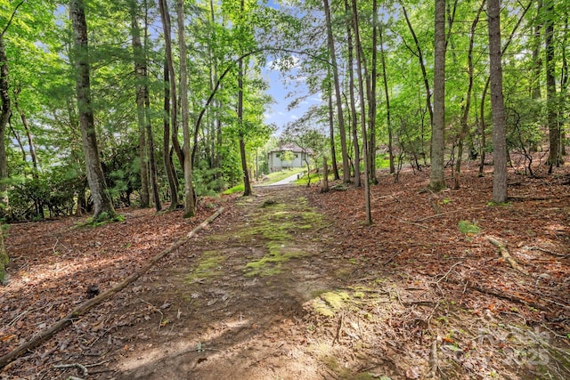 52 Dividing Ridge Trl, Arden, NC 28704 - photo 7