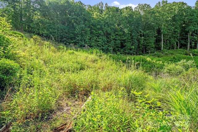 52 Dividing Ridge Trl, Arden, NC 28704 - photo 8