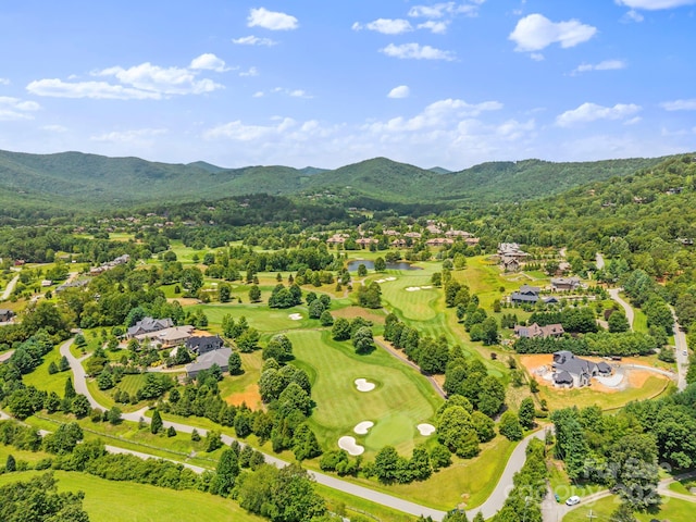 52 Dividing Ridge Trl, Arden, NC 28704 - photo 12