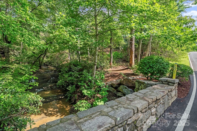52 Dividing Ridge Trl, Arden, NC 28704 - photo 15