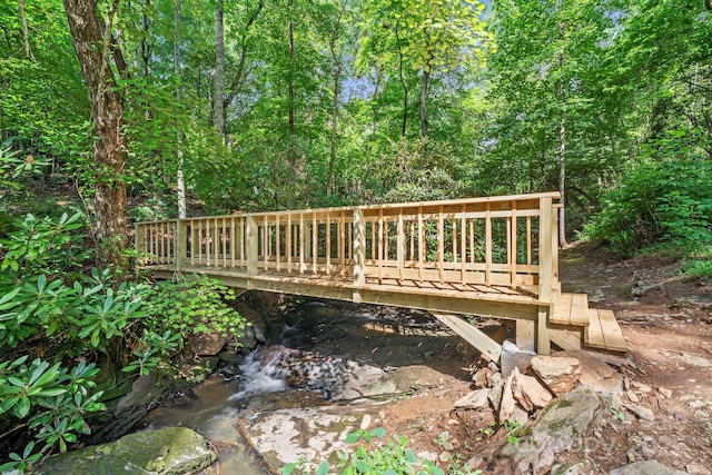 52 Dividing Ridge Trl, Arden, NC 28704 - photo 16
