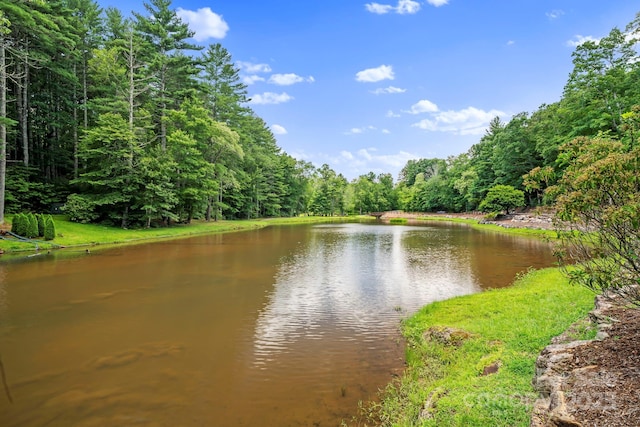 52 Dividing Ridge Trl, Arden, NC 28704 - photo 17