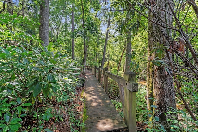 52 Dividing Ridge Trl, Arden, NC 28704 - photo 18