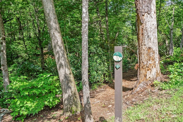 52 Dividing Ridge Trl, Arden, NC 28704 - photo 19