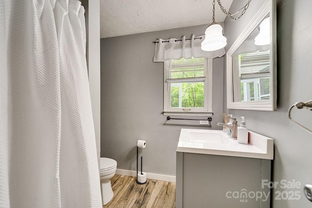 155 Notta Rd, Franklin, NC 28734 - bathroom with wood finished floors, vanity, a shower with shower curtain, and a textured ceiling