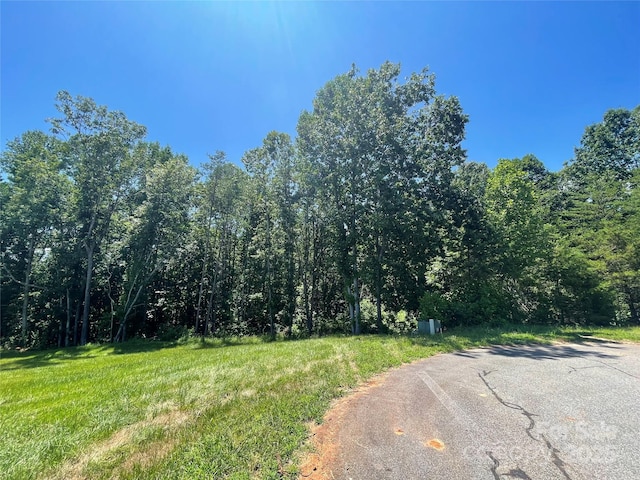 00 Jamesfield Dr Unit 9, Rutherfordton, NC 28139
