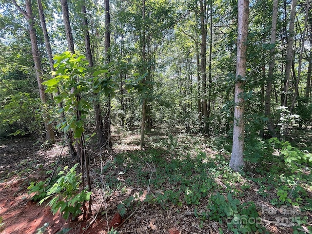 00 Jamesfield Dr Unit 9, Rutherfordton, NC 28139