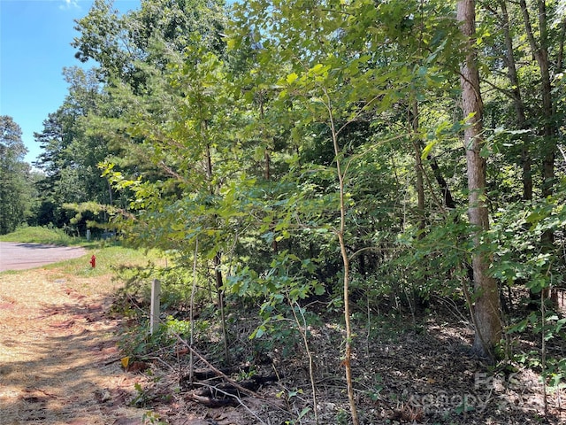 00 Jamesfield Dr Unit 9, Rutherfordton, NC 28139