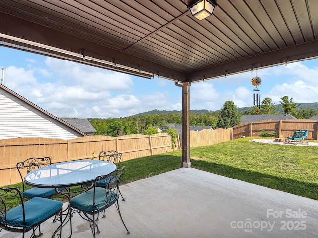 223 Water Leaf Dr, Weaverville, NC 28787 - photo 17