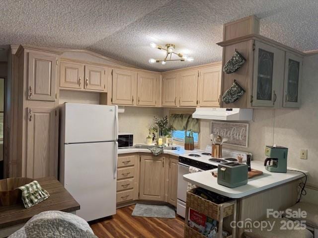 103 Holly Harbor Trl Unit 348A, Mount Gilead, NC 27306 - kitchen featuring white appliances, extractor fan, vaulted ceiling, dark wood finished floors, and light countertops