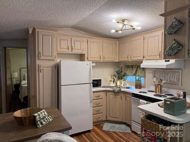 103 Holly Harbor Trl Unit 348A, Mount Gilead, NC 27306 - kitchen with white appliances, under cabinet range hood, light brown cabinets, light countertops, and lofted ceiling